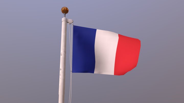 Flag of France (animated) 3D Model