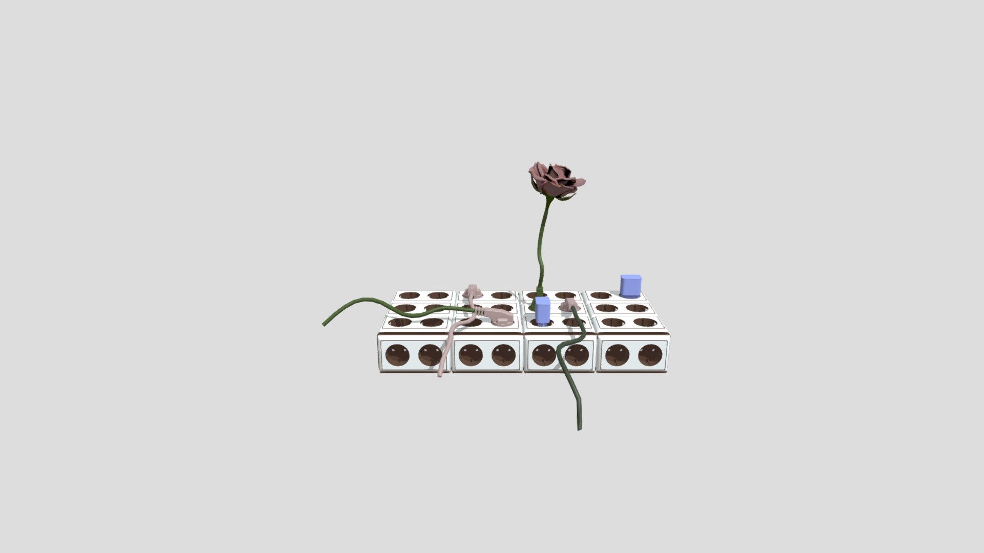 Rose Plug (experimental design)