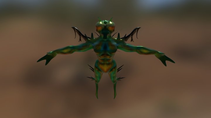 The fly 3D Model