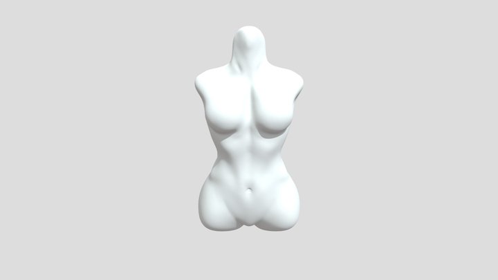 Female Torso Anatomy Study Sketch 3D Model