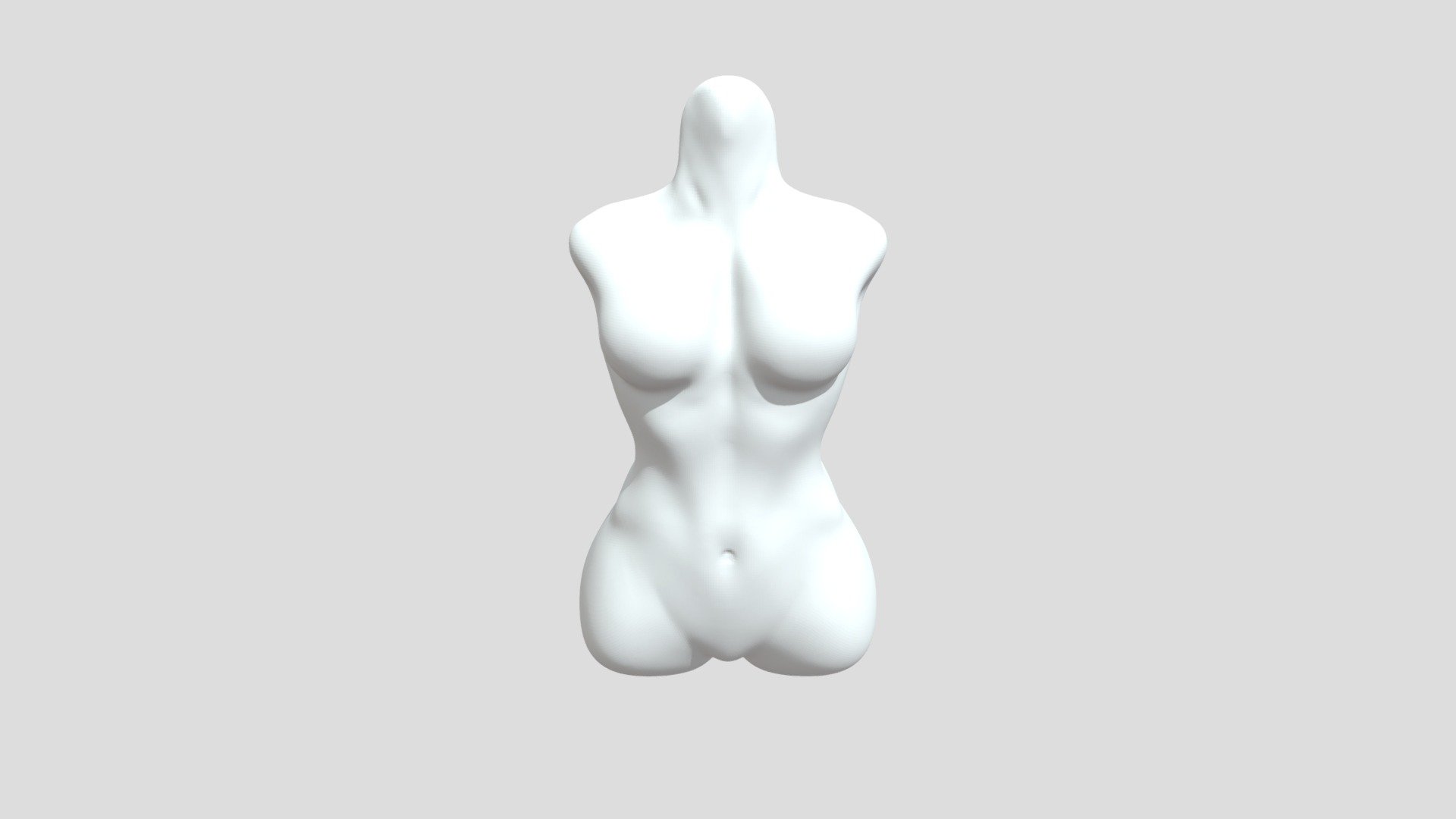 Female Torso Anatomy Study Sketch