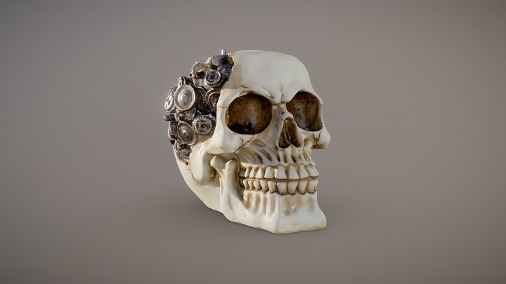 Steampunk Cyborg Skull 3D Model