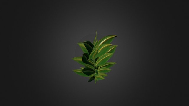 Pflanze_4 3D Model