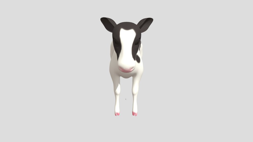Calf