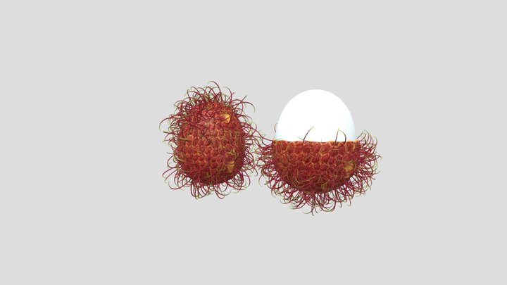 Rambutan 3D model 3D Model