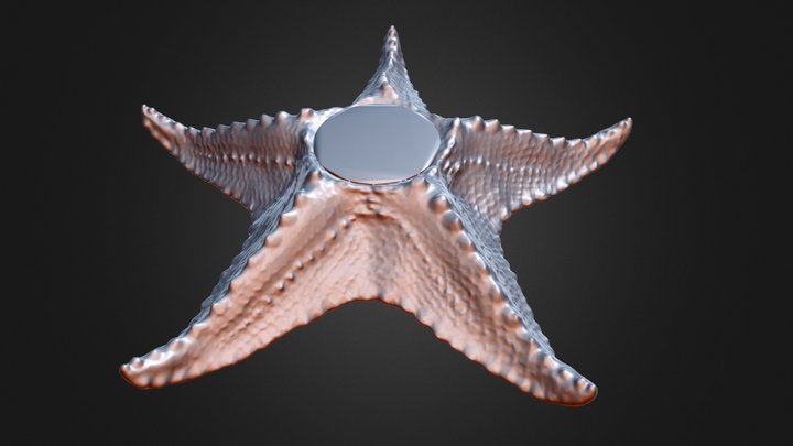 Starfish_podium 3D Model