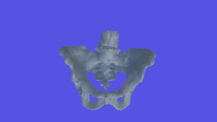 9467F Pelvis Model 3D Model