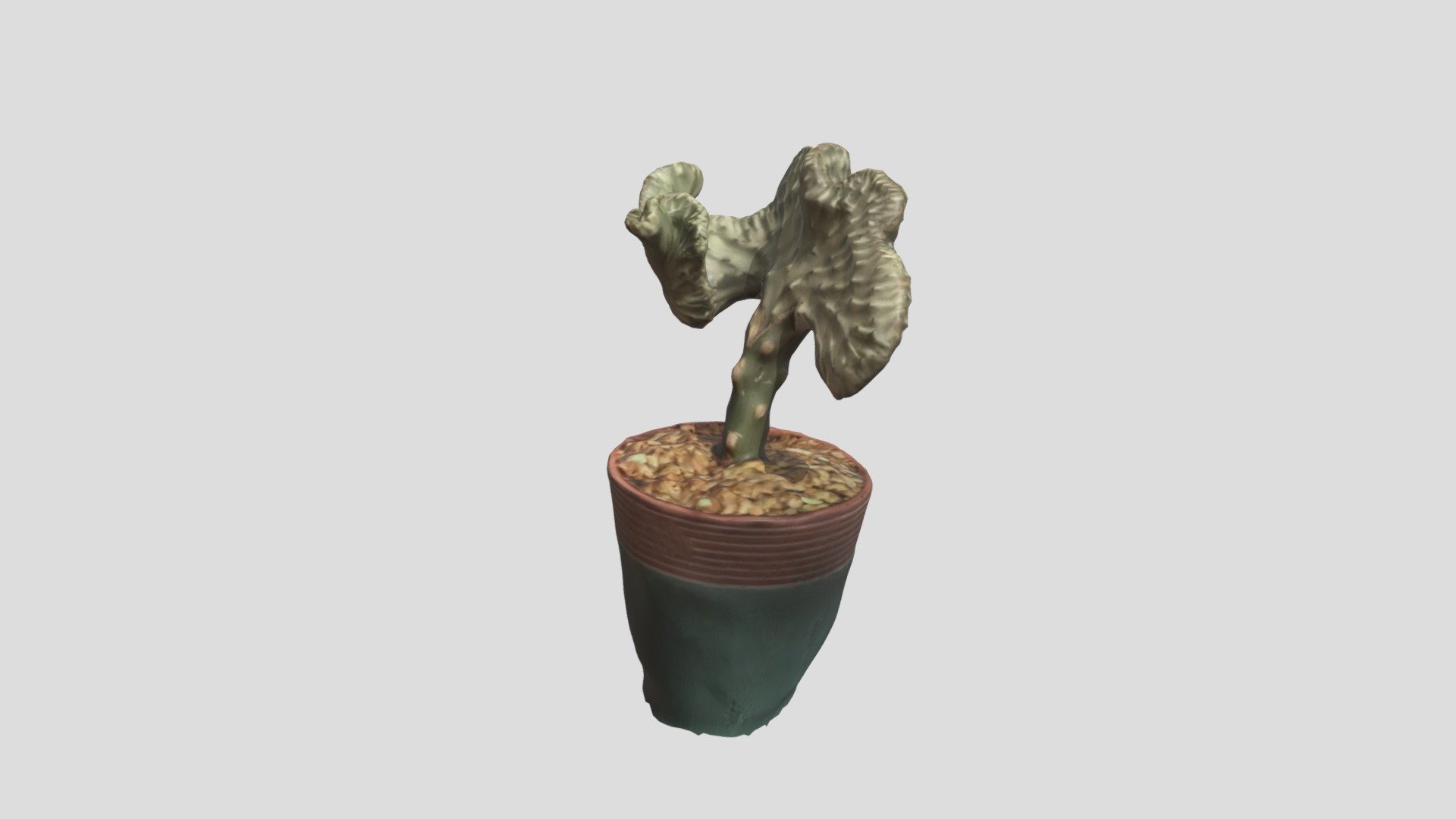 FlowerPot