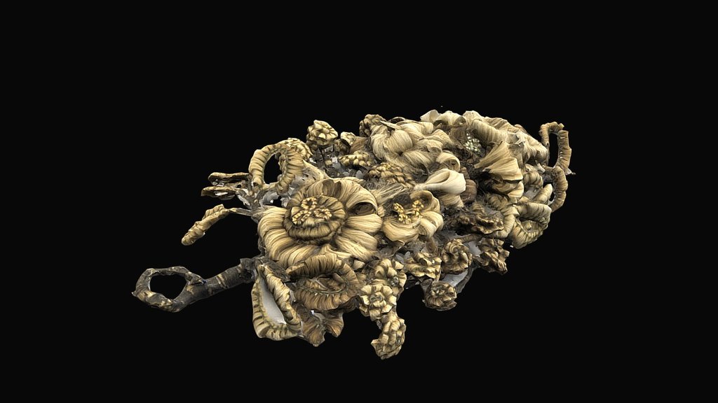 Hair jewelry / Vlasový šperk — Sketchfab embed 3D viewer