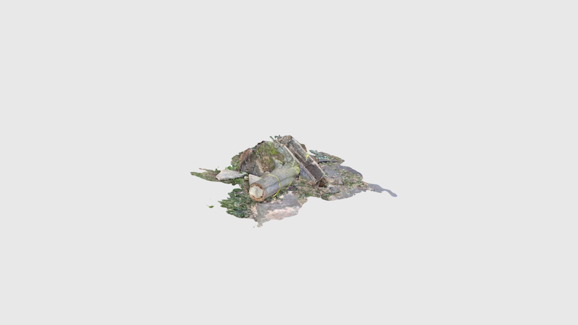 Tree fall on Littlepage (VCU_3D_7223)