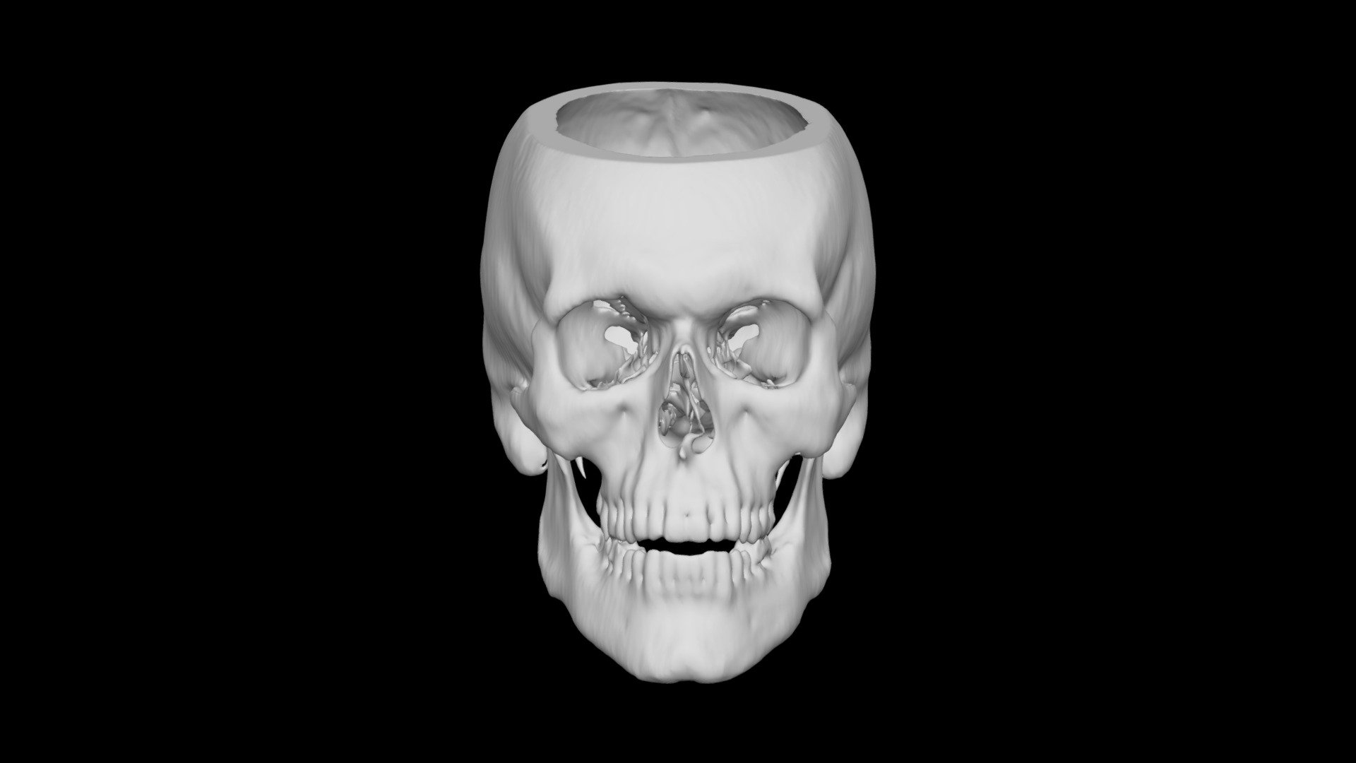 Skull Male 53yo