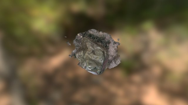 Rock(SFM) 3D Model