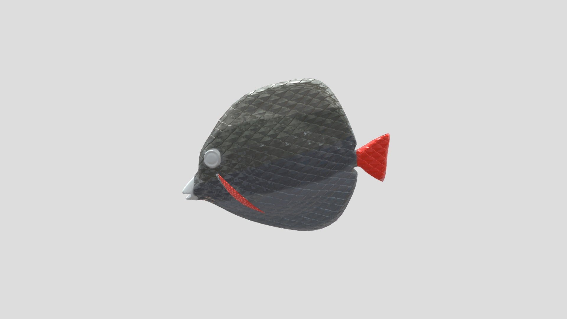 Fish - DTaggart - SGD116