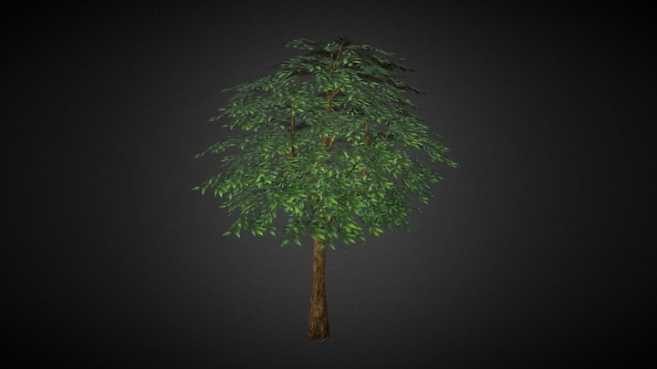 Tree 3D Model