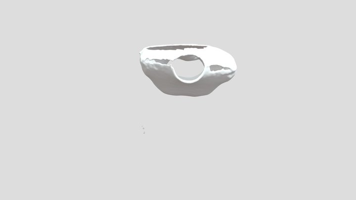 kinectscan 3D Model