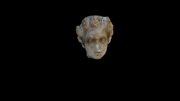 3616 head by Giannis Panagakos 3D Model