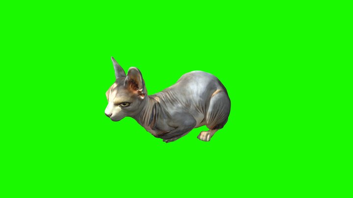 Sphinx_Majesty_0314161147_texture_fbx 3D Model