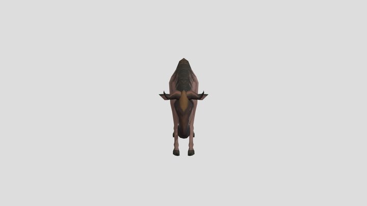 Wildebeest
