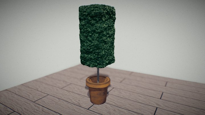 Funky House Plant on Wooden Floor Tiles 3D Model