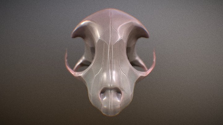 Pinkish cat's skull! 3D Model
