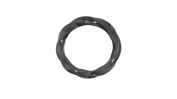 Twisted Ring 3D Model