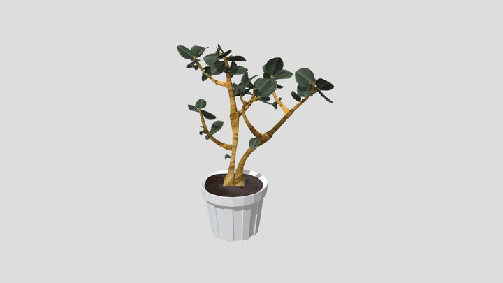 wk9_plant 3D Model