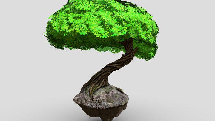 Twisted Tree 3D Model
