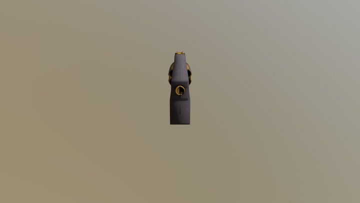 Hand Cannon: Anarchy. FMP 3D Model