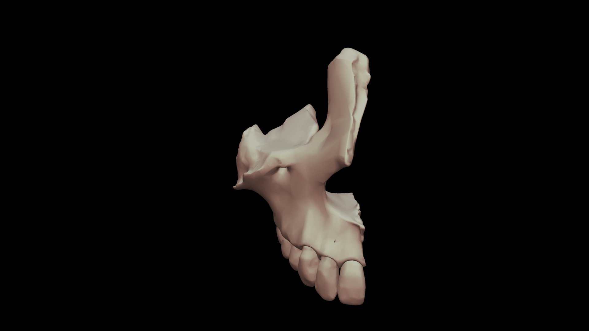 Mandíbula de maxilar humano real 02 Modelo 3D $39 - .c4d .max .fbx