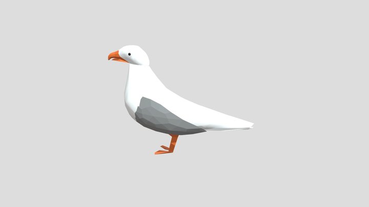 Seagull 3D Model