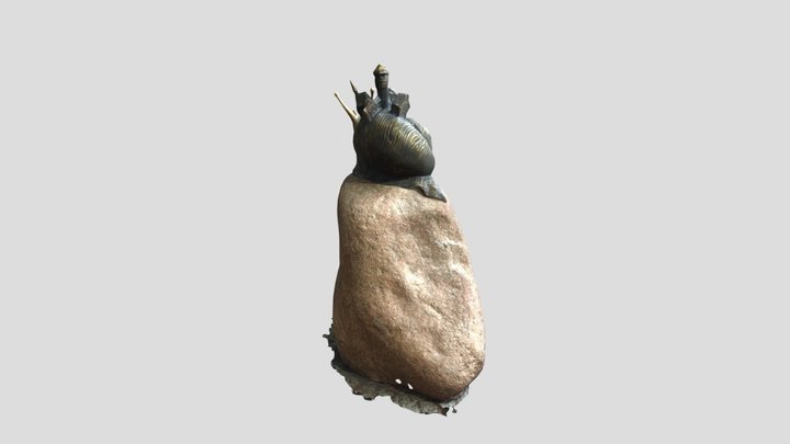 Snail Svetlogorsk 3D Model