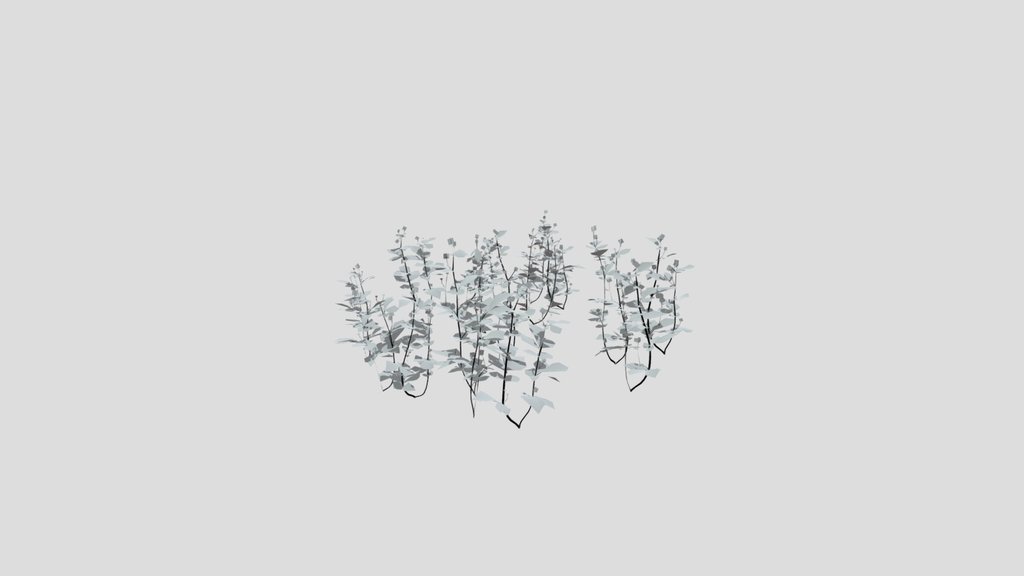 Geum Urbanum Weed Herbal Plant Small