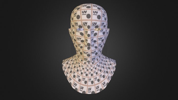 bwilkinson_head_Retopology 3D Model
