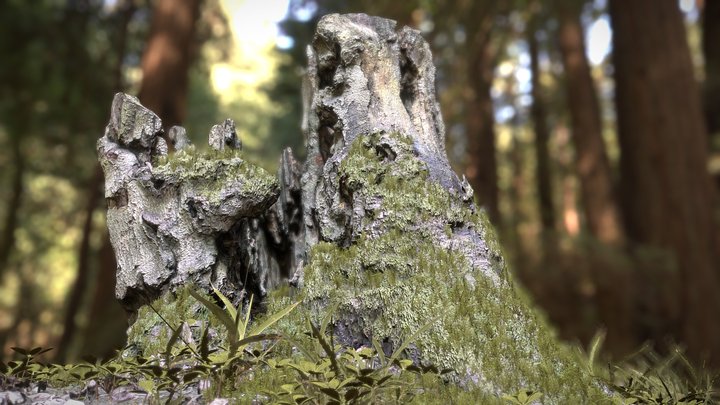 Old Oak Stump Obora – Modello 3D gratuito STL