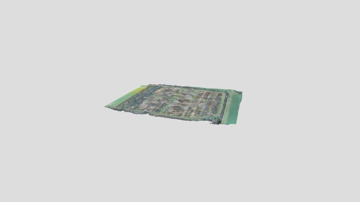 Grafton_Road 3D Model