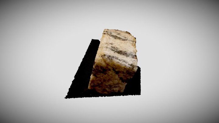 Site9 3D Model