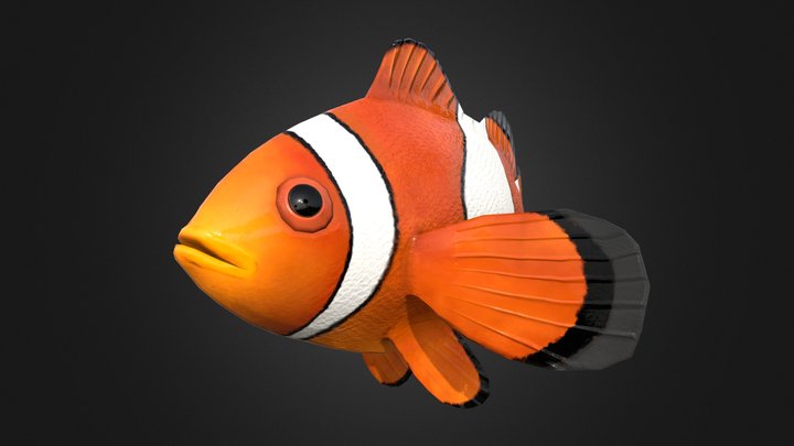 Amphiprioninae Clownfish Rigged 3D Model