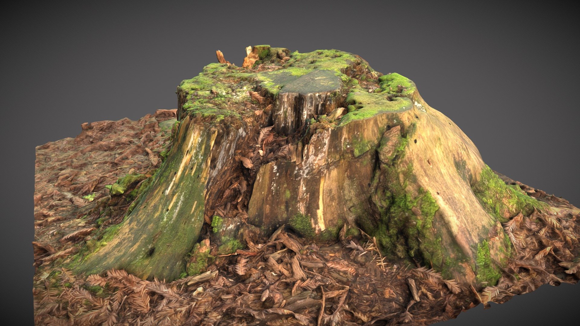 Rotten tree stump covered in moss - Download Free 3D model by ...