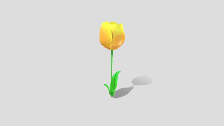 Simple Tulip 3D Model