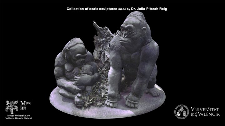 3d gorilla shelves model