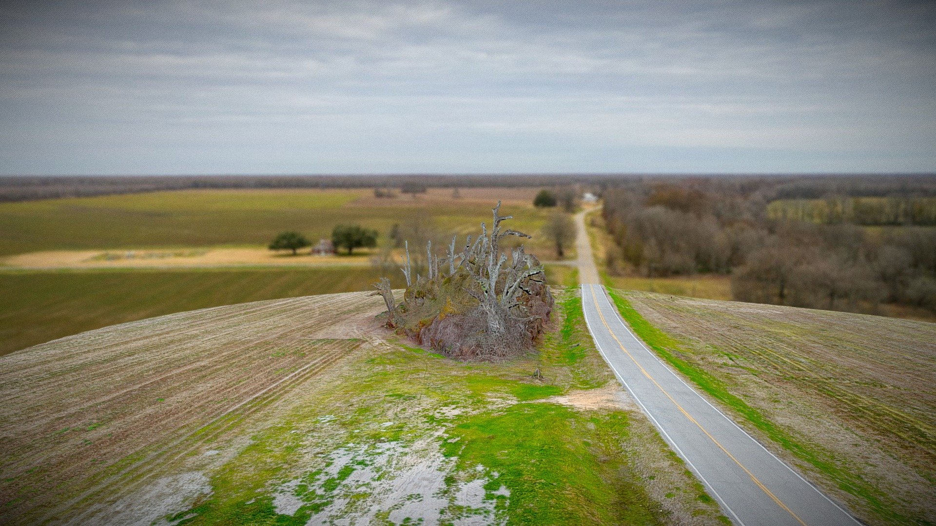 Mayflower Mound