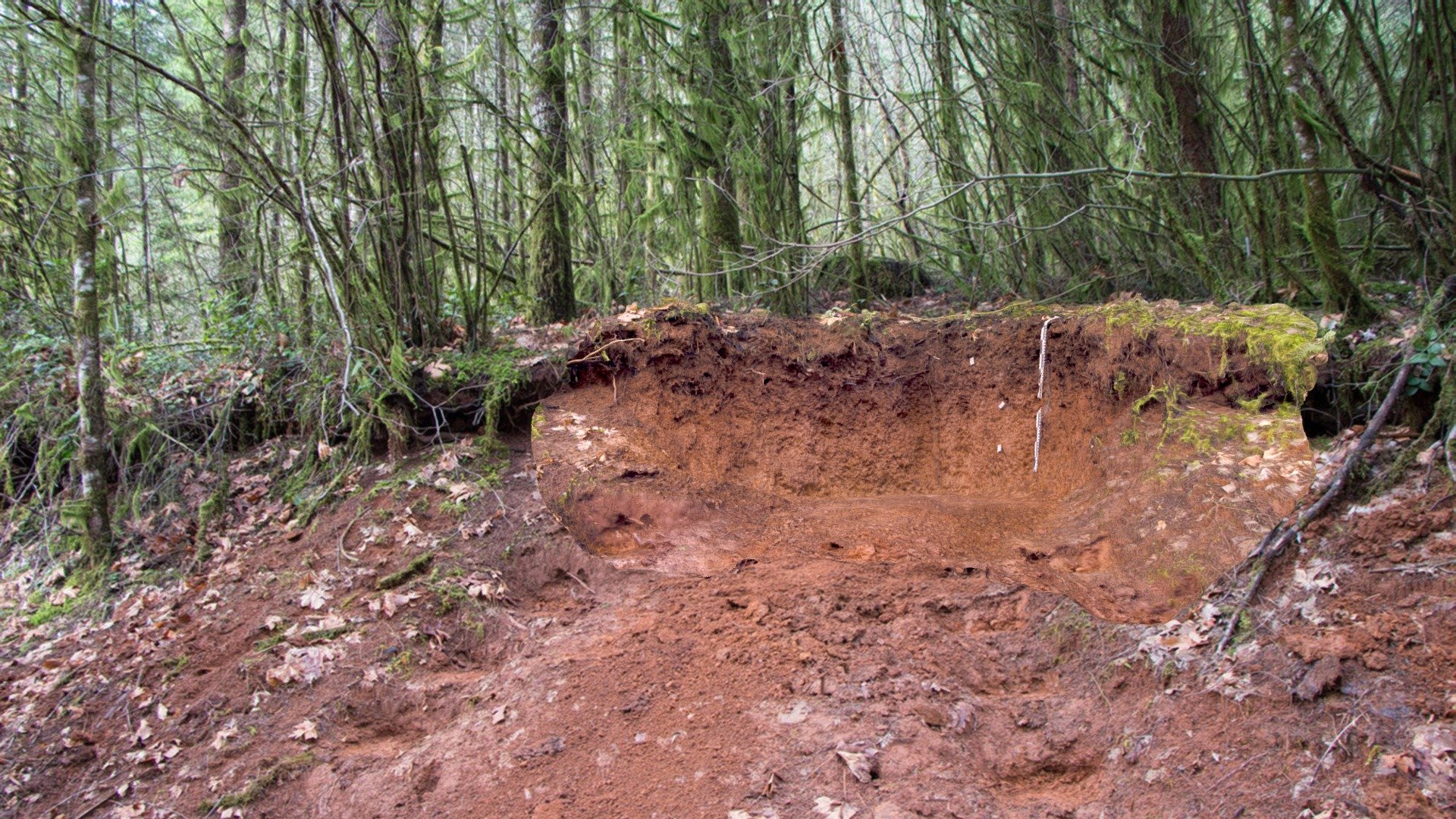 Lewisburg Saddle - Lab 9 SOIL 466
