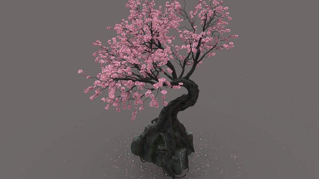 Cherry Tree