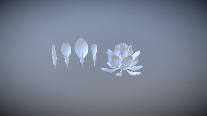 Stylized Petals and Flower 3D Model