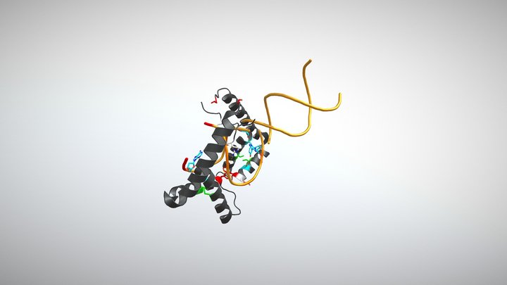 4QR9 - High Mobility Group Protein 1 (HMGB1) 3D Model