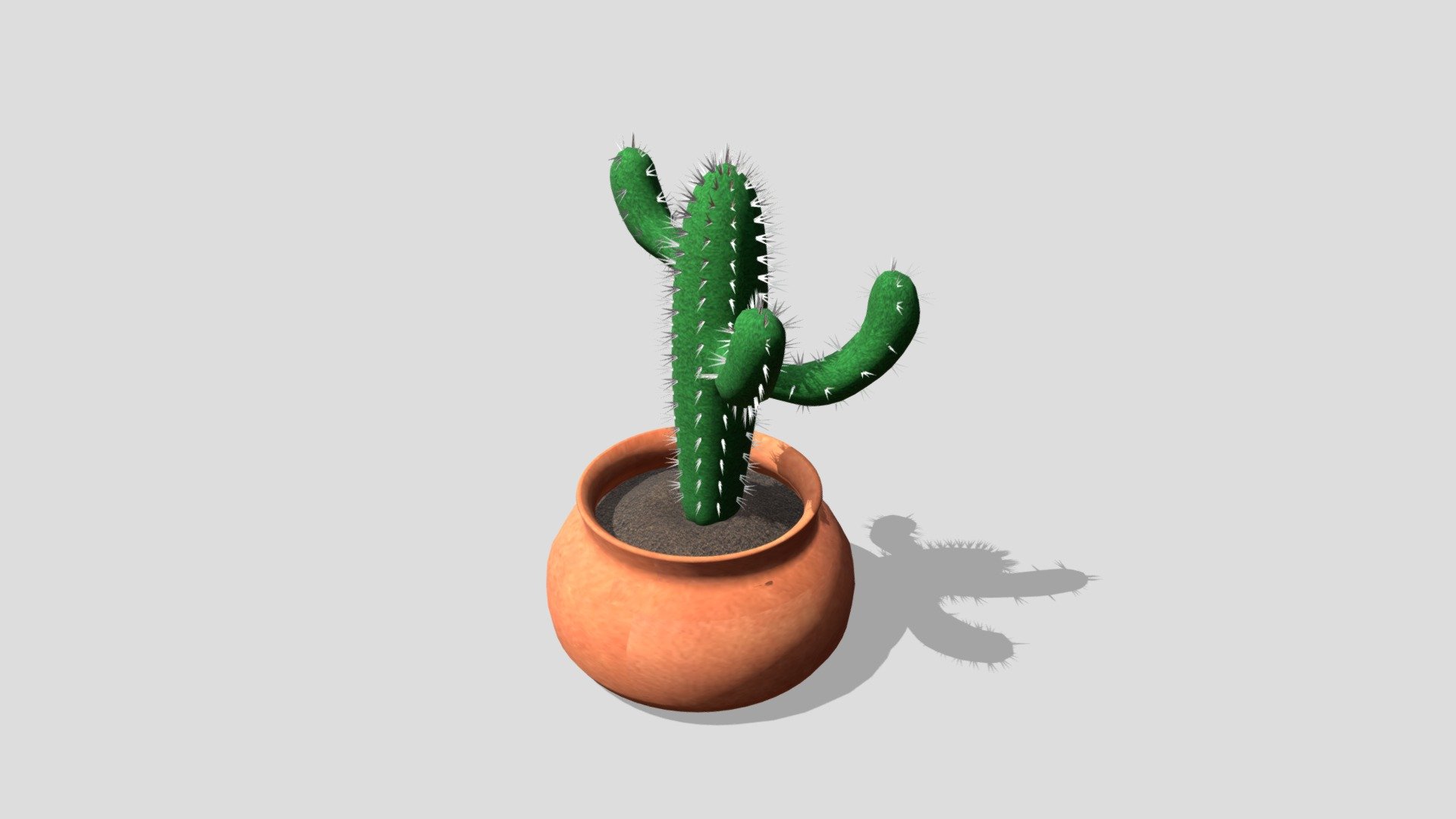 cactus