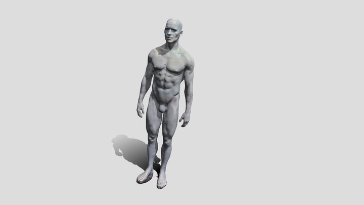 Zbrush - Male Figure - Revopoint | Pop 3 3D Model