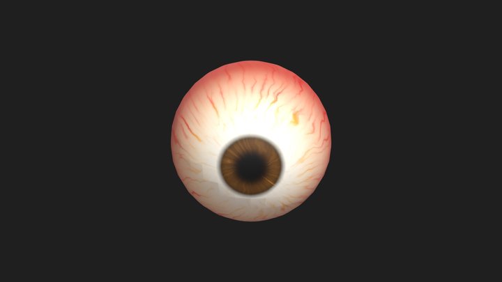 Eye 3D Model