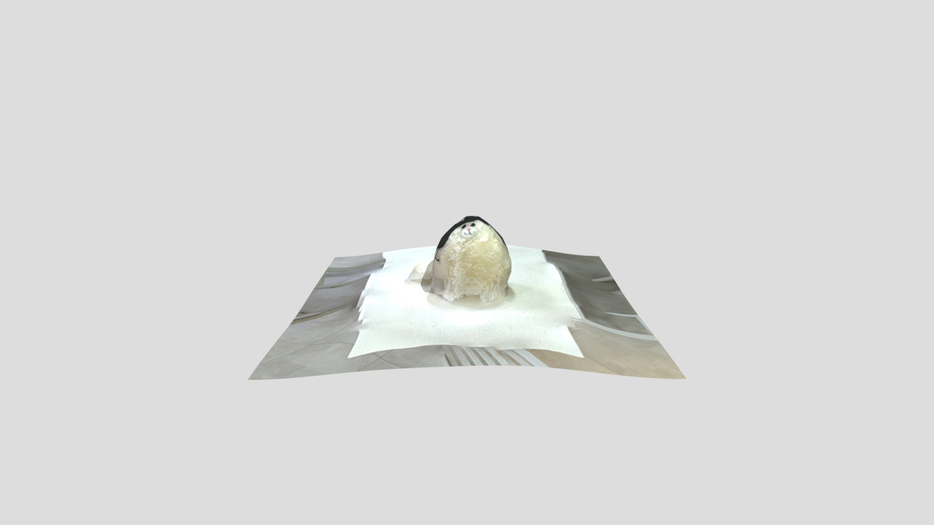 Cat LiDAR 2.5D-Scan_DS