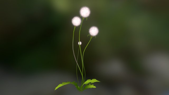 Dandelion Look-Dev 3D Model